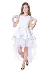 Happy little girl in carnival costume  posing  