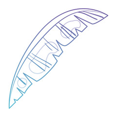 feather bird decorative icon