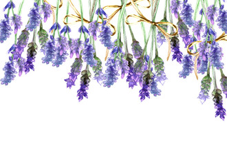 lavender watercolor painting