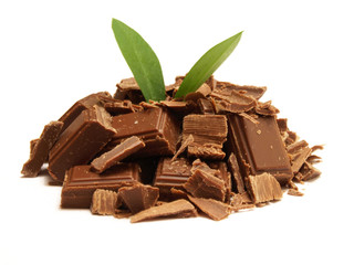 Chocolate tree