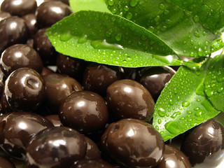 Fresh olives