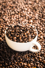 Brown coffee beans in white cup