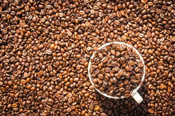 Brown coffee beans in white cup