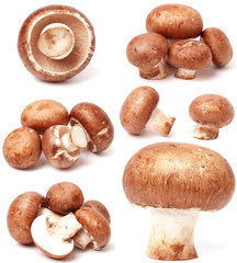 Mushrooms champignon