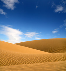 Fototapeta na wymiar landscape in evening desert