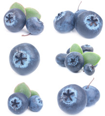Blueberry fruit