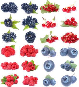 Berries collection