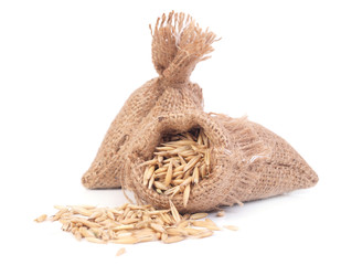 Obraz premium Fresh oats