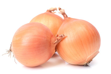 Fototapeta premium Fresh onion