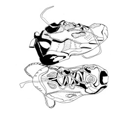 graphic sketch of sneakers
