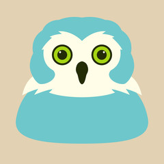 owl bird face vector illustration flat style front