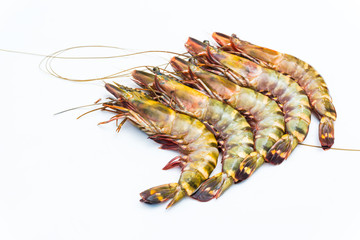 Fresh raw tiger prawn shrimp isolated on white