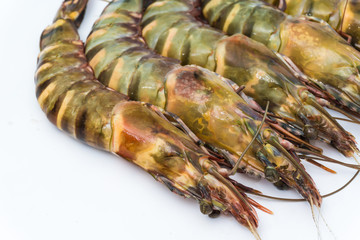 Fresh raw tiger prawn shrimp isolated on white