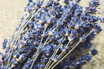 dried lavender flowers and bouquet with lavender