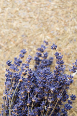 dried lavender flowers and bouquet with lavender