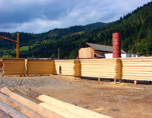 Cabin under construction
