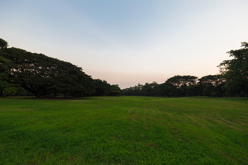 Sunset at public green park blue sky