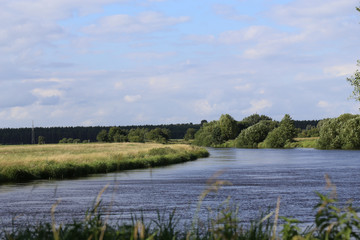 Die Aller bei Buchholz an der Aller