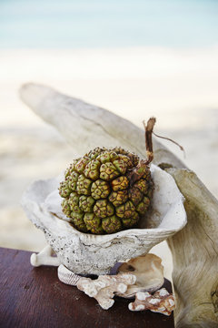 Tropical fruit and shells