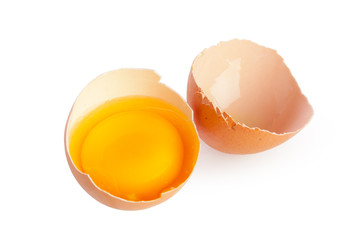 egg on white background