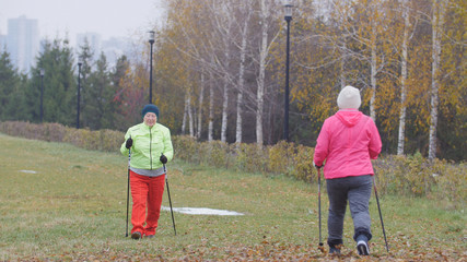 Two happy elderly woman in autumn park have nordic walking among autumn cold park