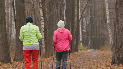 Fototapeta premium Nordic walking for elderly women outdoor - two senior ladies have training outdoor - rear view