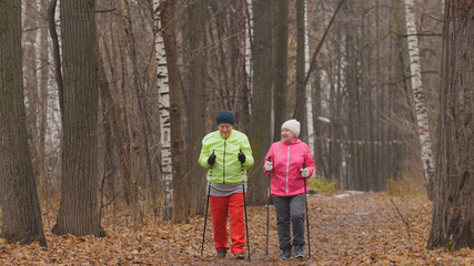 Fototapeta premium Sport for elderly women in autumn park - nordic walking among autumn park