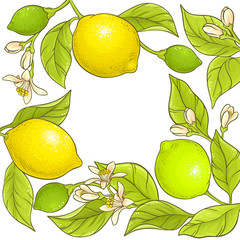 lemon branch vector frame
