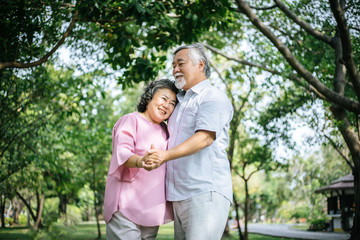 Fototapeta premium Happy senior couple in the park