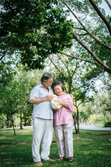 Fototapeta premium Happy senior couple in the park