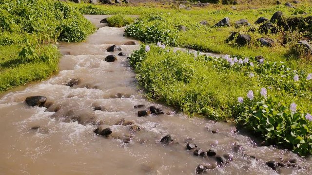 The mountain volcanic river originating from the Mayon volcano. Legazpi. Philippines. Shooting in motion.