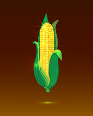 Gold Corn Maize, Shining VECTOR Illustration, Glowing Background Template.