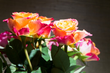 Close-up of festive fresh roses with original yellow and crimson coloration.