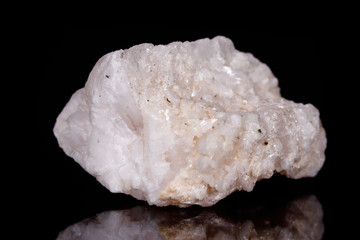 Macro mineral stone Amphibolite in quartz on black background