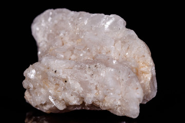 Macro mineral stone Amphibolite in quartz on black background