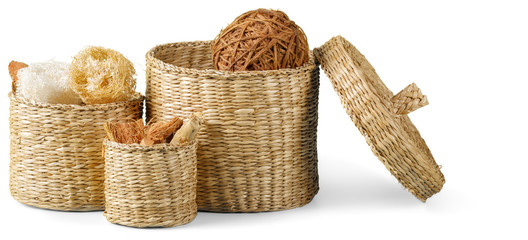 set of dry autumn plants and leaves, dried petals and flowers, simple rustic branches and wheat bunch on white