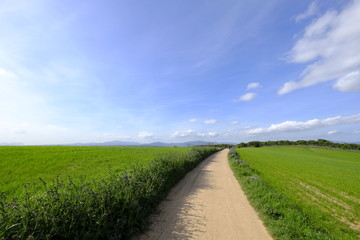 Country road in Mollet del Valles in Barcelona province in Catalonia Spain to the horizon between green fields