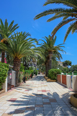Fototapeta na wymiar Walking promenade with palm trees