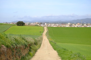 Country road in Mollet del Valles in Barcelona province in Catalonia Spain to the horizon between green fields