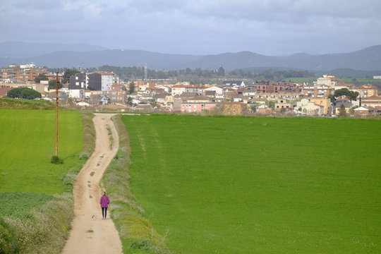 Country road in Mollet del Valles in Barcelona province in Catalonia Spain to the horizon between green fields