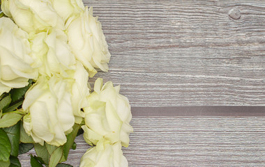white roses on wooden background