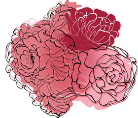 Abstract pink peony flowers sketch.