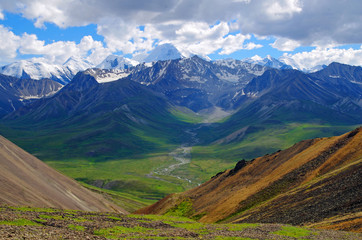 Fototapeta premium Alaska Denali National Park