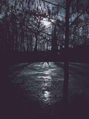 Frozen lake at night reflecting moonlight