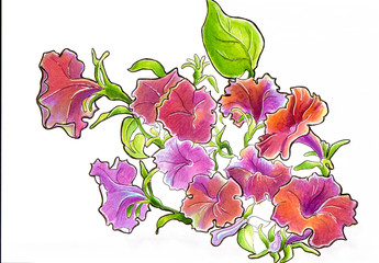 Surfinia marlers markers