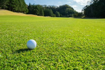 Golf Course where the turf is beautiful and Golf Ball on fairway. Golf is a sport to play on the turf