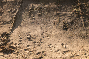 Heap of sand closeup