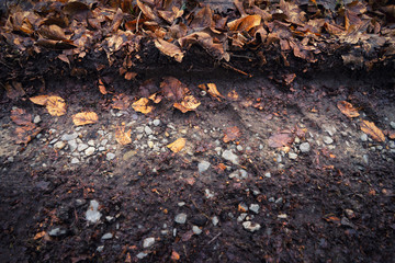 Tire track in the dirt road background texture