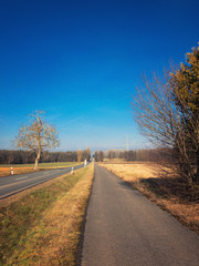 Fototapeta premium Wiejski krajobrazowy widok w Bavaria Niemcy