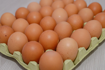 chicken egg tray close up